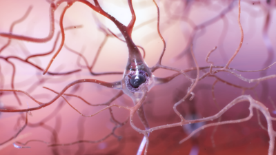 Healthy neuron illustration NIA/NIH
