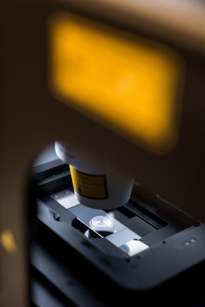 Microscope hones in on yeast cells to track heme