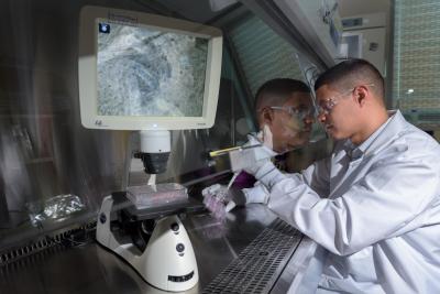 Preparing hydrogel matrix materials