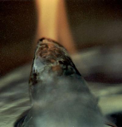Burning Ice