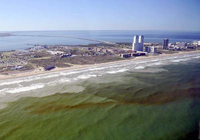 Red tide