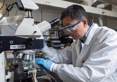 Meniscus-assisted solution printing