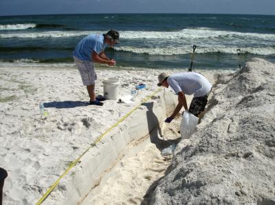 Sampling Microbial Communities in Beach Sand