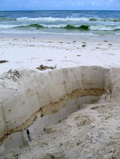 Sampling Microbial Communities in Beach Sand2
