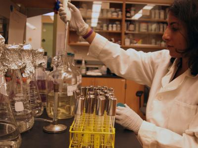 Studying Microbial Diversity