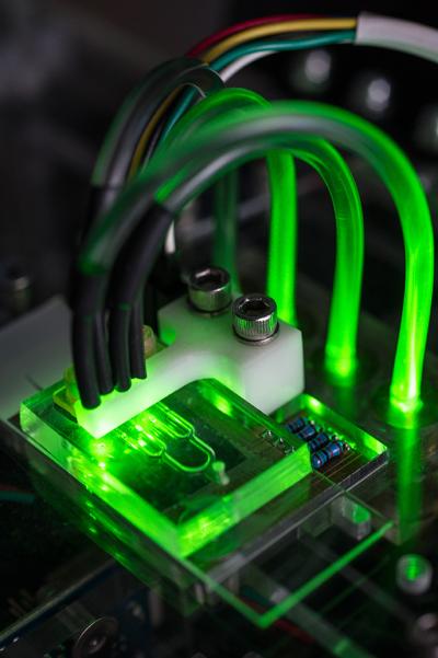 Artificial blood vessels on a microfluidic chip