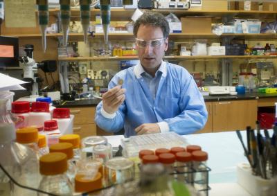 Mark Prausnitz in the laboratory