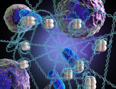 Microweb illustration2