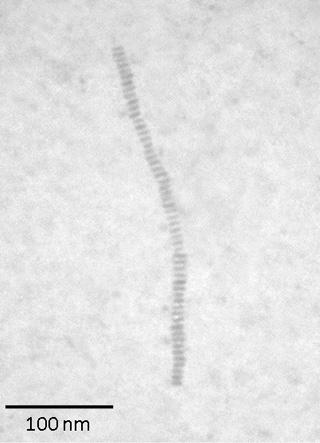 Nano-necklace