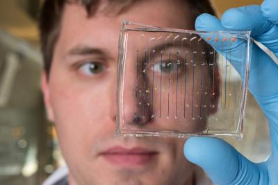 James Dahlman with microfluidic chip
