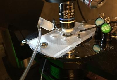 Patch-clamping equipment3
