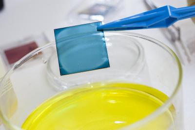 Polymer film for organic PV