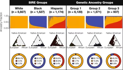Race, ethnicity, and genetic ancestry in the US.