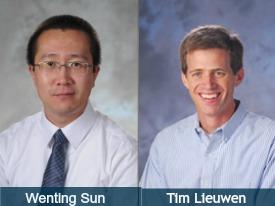Sun-Lieuwen