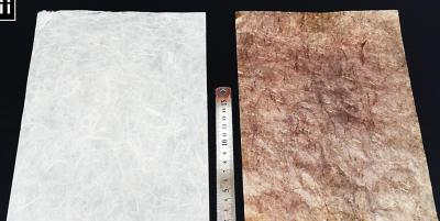 Paper metallized with gold nanoparticles