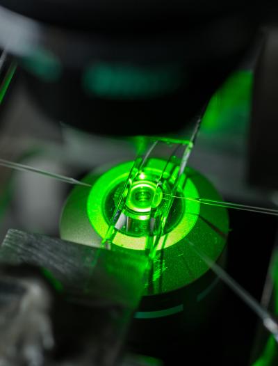 T-Cell Force Research