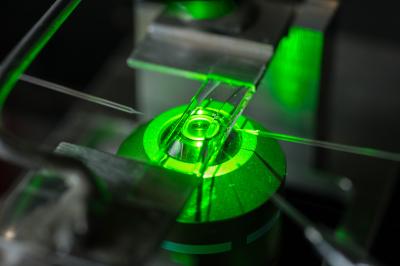 T-Cell Force Research2