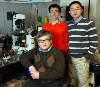 Biomembrane Force Probe