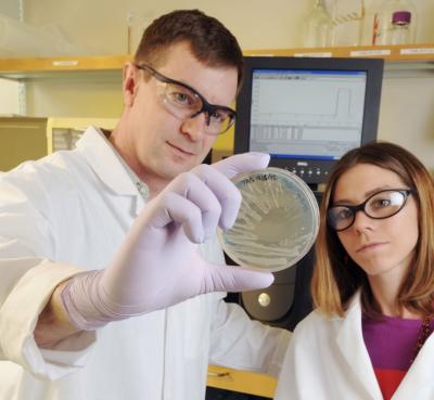 Thomas Barker, PhD, and postdoc Ashley Brown examining artificial blood platelets that are composed of hydrogels that are activated by the body&#039;s own mechanisms when a person is wounded.