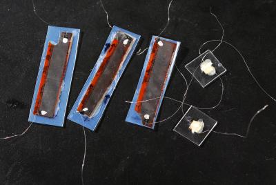 Close-up of nanogenerators