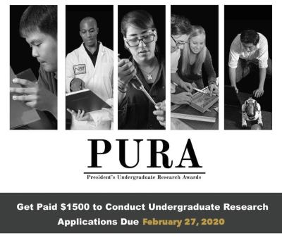 PURA Deadline Feb 2020