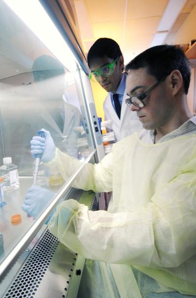 Binding ligands to silicon nanowires