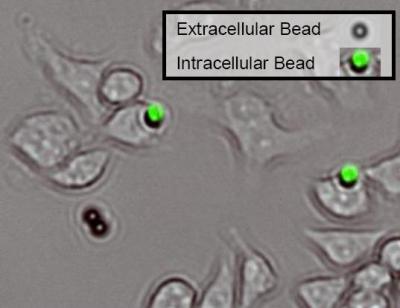 Microbeads