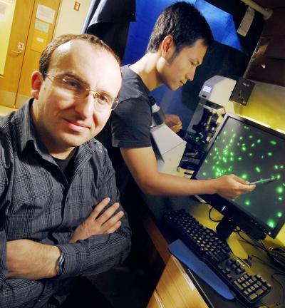 Konstantinidis & Luo