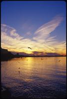Lake Mendota, Madison WI: Beautiful Memories