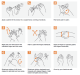 WHO-recommended hand hygiene (Courtesy of World Health Organization)