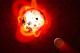 A rocky planet orbits the red dwarf star Proxima Centauri (Courtesy of NASA, ESA, G. Bacon STSci)