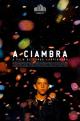 The Ciambra (2017) - Poster
