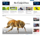GATech Honeybees in NYTimes