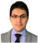 Mohammadreza Nazemi, postdoctoral fellow, School of Chemistry and Biochemistry 