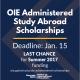 OIE Scholarship