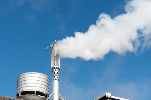 Georgia Tech Steam Whistle