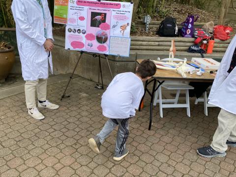 Hank Zapple, 7, demonstrates how flamingos crouch to stand on one leg at Zoo Atlanta during the Atlanta Science Festival. (Photo Renay San Miguel)