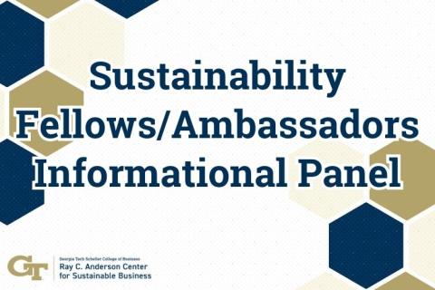 Sustainability Fellows/Ambassadors Informational Panel