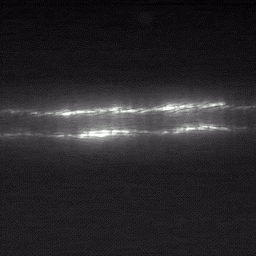 NIR video demonstrating enhanced lymphatic contractile activity with no NP.