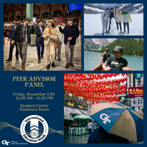 Peer Advisor Panel | Friday, November 17th | 11:30 AM - 12:30 PM | Student Center Piedmont Room