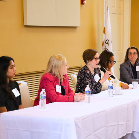 WISyE Panel Speakers