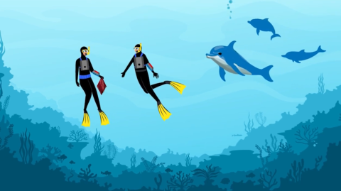 An animated image from Georgia Tech's video illustrating interactive technologies developed for the Wild Dolphin Project.