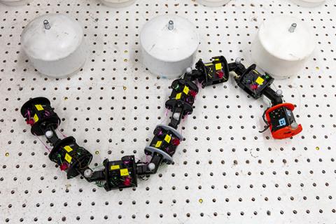 Worm research robot