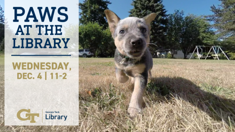 Paws at the Library