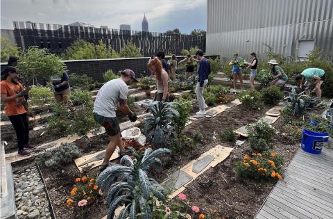 Students at the Kendeda rooftop garden