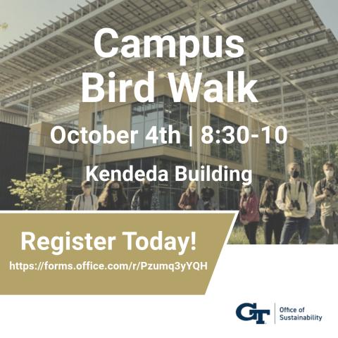 Oct 4th Bird Walk 