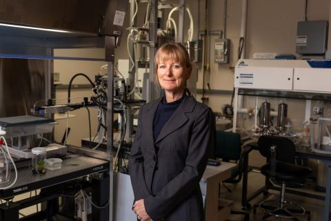 Ulrika Egertsdotter and the SE Fluidics system