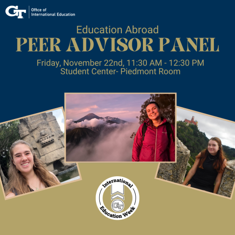 event graphic for Peer Advisor Panel on 11-22-24