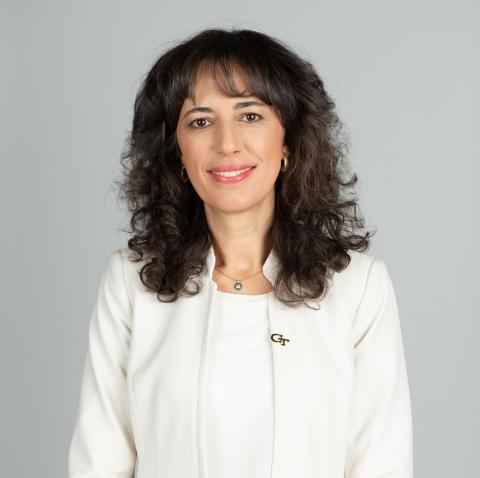 Pinar Keskinocak, Named ISyE School Chair
