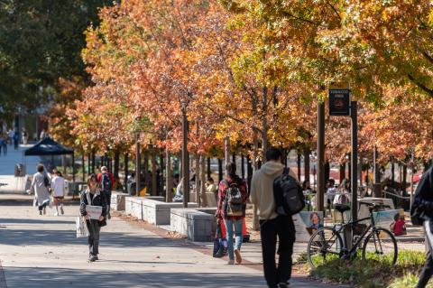 Fall at Georgia Tech 